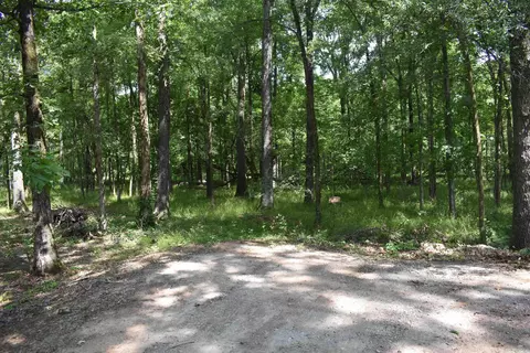 70 Green Head Ln, Altheimer, AR 72004 photo 28
