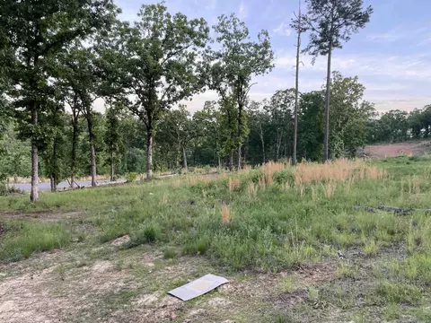 3000 Orchard Crest Dr, Conway, AR 72034 photo 10