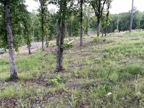 3000 Orchard Crest Dr, Conway, AR 72034 photo 8