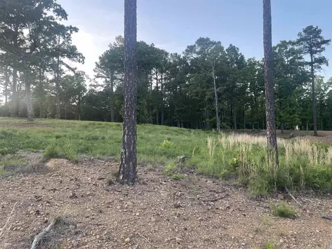 3000 Orchard Crest Dr, Conway, AR 72034 photo 2