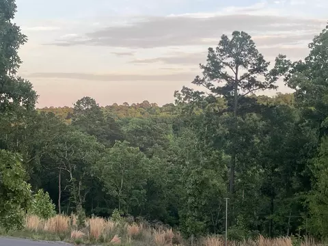3000 Orchard Crest Dr, Conway, AR 72034 photo 3