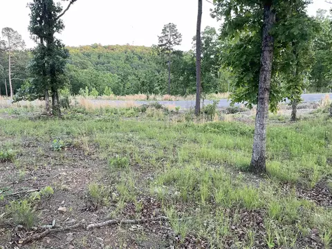 3000 Orchard Crest Dr, Conway, AR 72034 photo 7