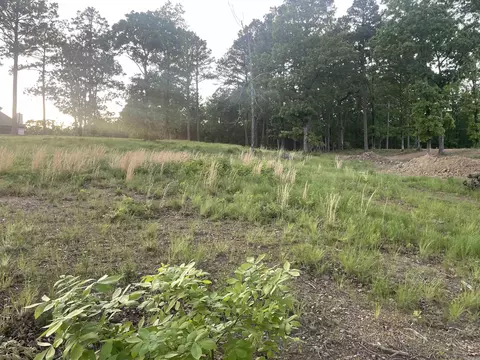 3000 Orchard Crest Dr, Conway, AR 72034 photo 4