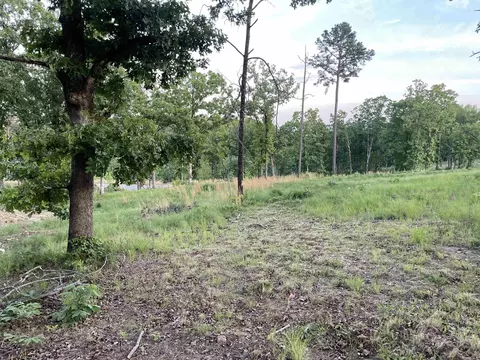 3000 Orchard Crest Dr, Conway, AR 72034 photo 11