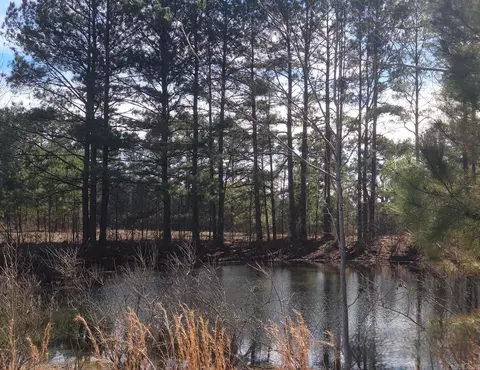 View/Area - 293 Social Hill Loop, Malvern, AR 72104 photo 3 of 3
