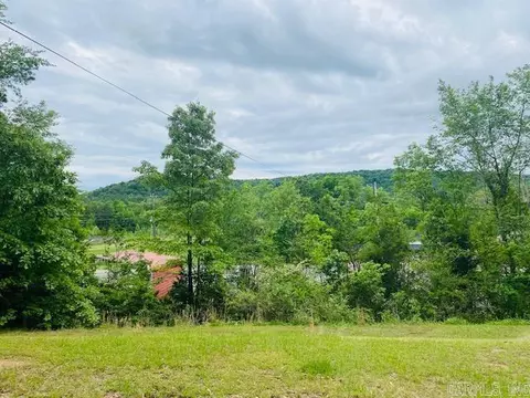 944 E Highway 270, Mount Ida, AR 71957 photo 3