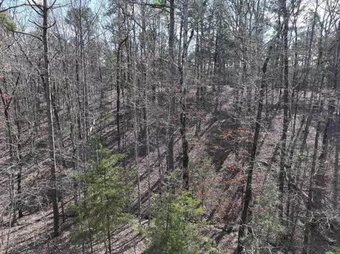 205 Denby Cv, Mount Ida, AR 71957 photo 2
