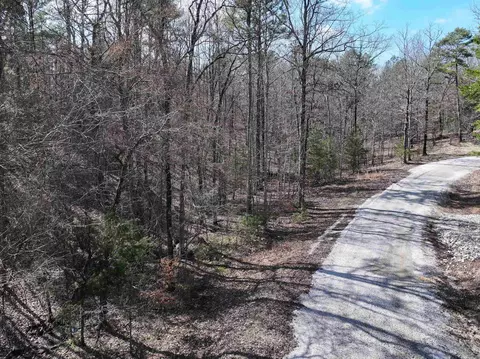 205 Denby Cv, Mount Ida, AR 71957 photo 3