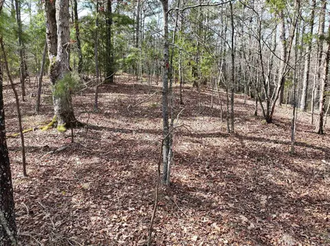 205 Denby Cv, Mount Ida, AR 71957 photo 5
