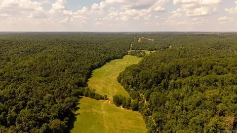 tbd County Road 443, Birch Tree, MO 65483 photo 24
