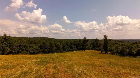 tbd County Road 443, Birch Tree, MO 65483 photo 5