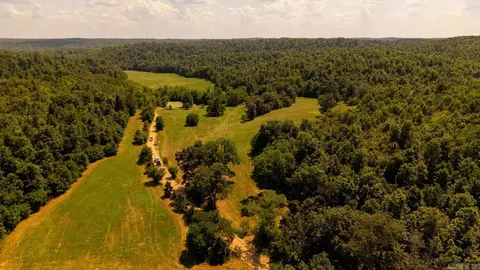 tbd County Road 443, Birch Tree, MO 65483 photo 15