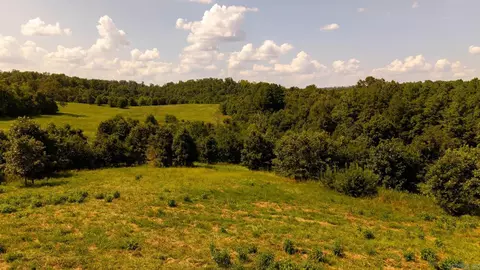 tbd County Road 443, Birch Tree, MO 65483 photo 46