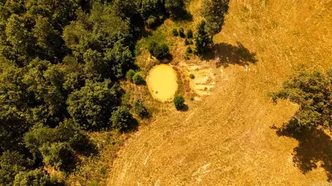tbd County Road 443, Birch Tree, MO 65483 photo 3