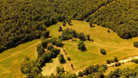 tbd County Road 443, Birch Tree, MO 65483 photo 20