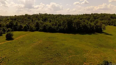 tbd County Road 443, Birch Tree, MO 65483 photo 41