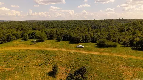tbd County Road 443, Birch Tree, MO 65483 photo 40