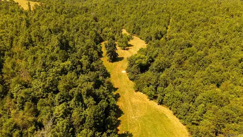 tbd County Road 443, Birch Tree, MO 65483 photo 16
