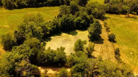 tbd County Road 443, Birch Tree, MO 65483 photo 19