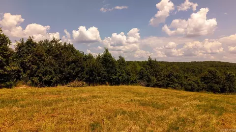 tbd County Road 443, Birch Tree, MO 65483 photo 7