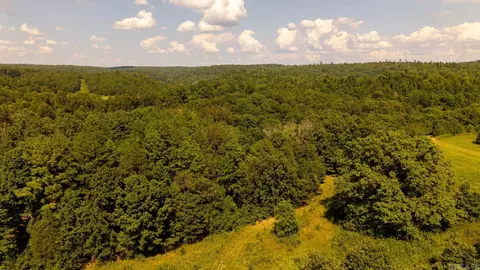 tbd County Road 443, Birch Tree, MO 65483 photo 43