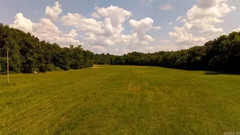 tbd County Road 443, Birch Tree, MO 65483 photo 21