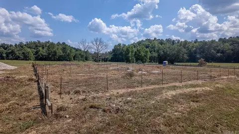tbd County Road 443, Birch Tree, MO 65483 photo 36