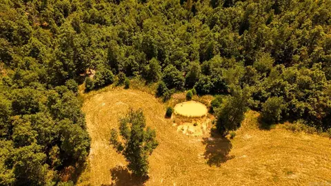 tbd County Road 443, Birch Tree, MO 65483 photo 4