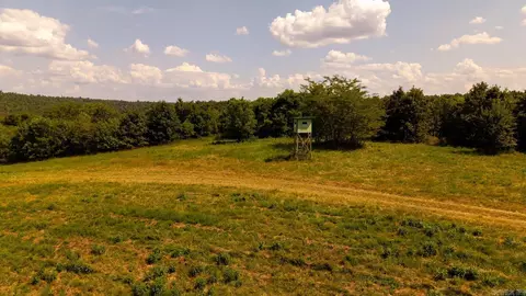 tbd County Road 443, Birch Tree, MO 65483 photo 44
