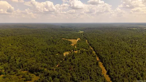tbd County Road 443, Birch Tree, MO 65483 photo 9