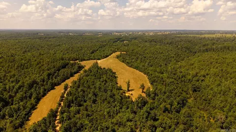 tbd County Road 443, Birch Tree, MO 65483 photo 11