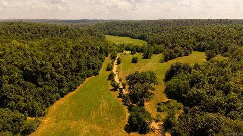 tbd County Road 443, Birch Tree, MO 65483 photo 14