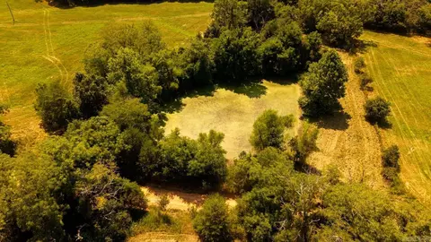 tbd County Road 443, Birch Tree, MO 65483 photo 18