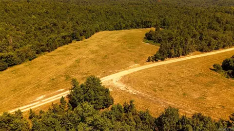 tbd County Road 443, Birch Tree, MO 65483 photo 13