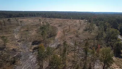 28 8 Freedom Rd # -9, Star City, AR 71667