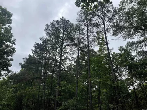 tbd N Ninth St, De Queen, AR 71832 photo 8