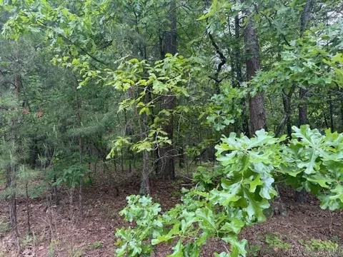 28 Brillante Ln, Hot Springs Village, AR 71909