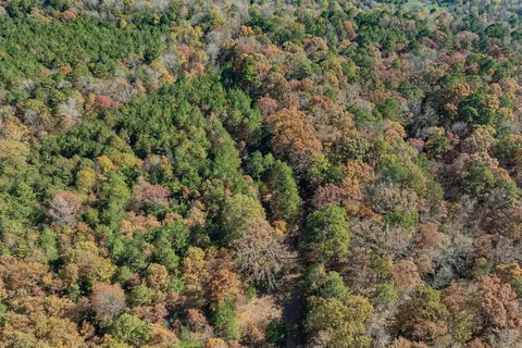 tbd Sims Rd, De Queen, AR 71832 photo 13