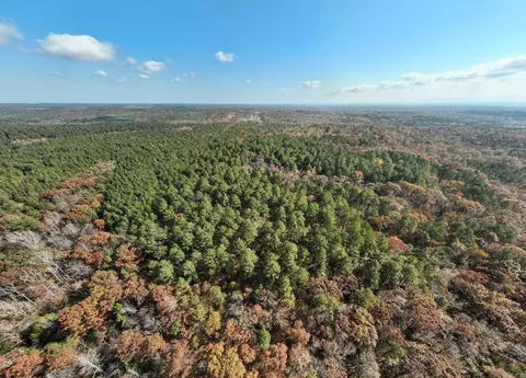 tbd Sims Rd, De Queen, AR 71832 photo 9