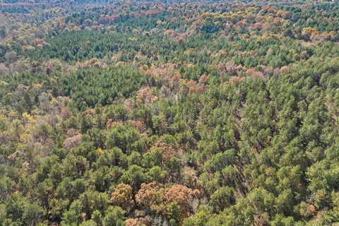 tbd Sims Rd, De Queen, AR 71832 photo 4