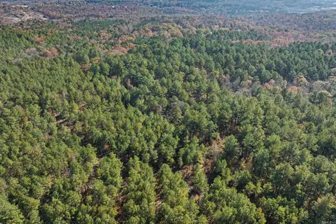 tbd Sims Rd, De Queen, AR 71832 photo 8