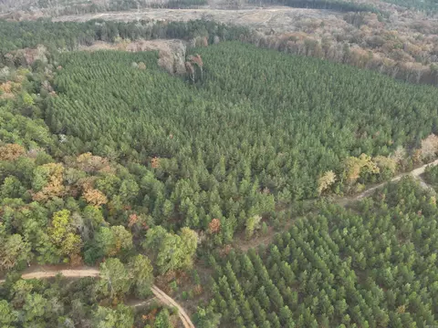 24-11 19 Ouachita Cr 75, Chidester, AR 71726