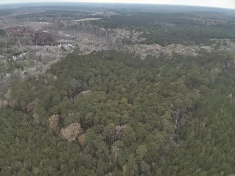 11-19 14 Hibanks Rd, Strong, AR 71765