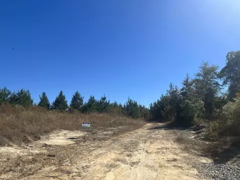 8-17 13 Cypress Creek Field Rd, Lawson, AR 71750