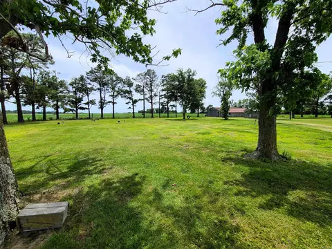 430 Cr 554 Rd, Piggott, AR 72454 photo 5