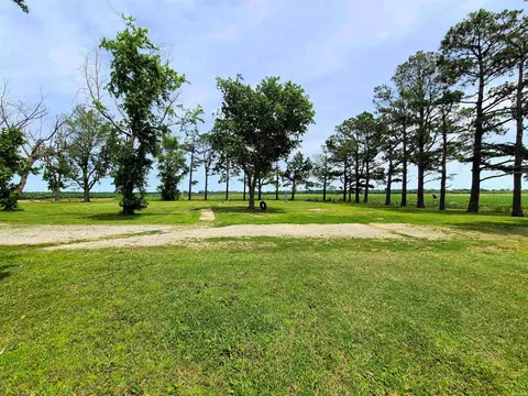 430 Cr 554 Rd, Piggott, AR 72454 photo 20