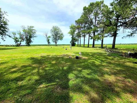 430 Cr 554 Rd, Piggott, AR 72454 photo 14