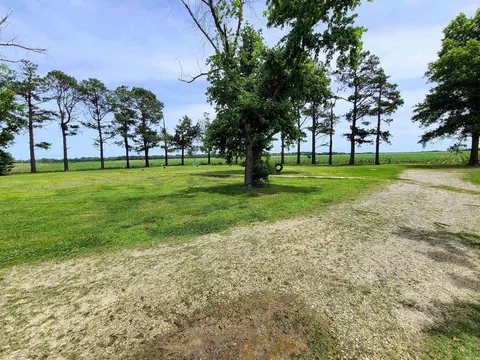 430 Cr 554 Rd, Piggott, AR 72454 photo 32