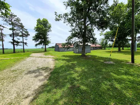 430 Cr 554 Rd, Piggott, AR 72454 photo 30