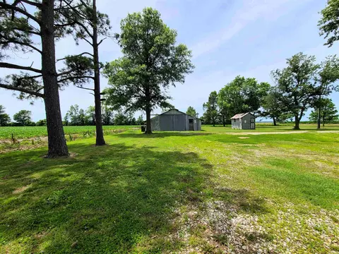 430 Cr 554 Rd, Piggott, AR 72454 photo 16
